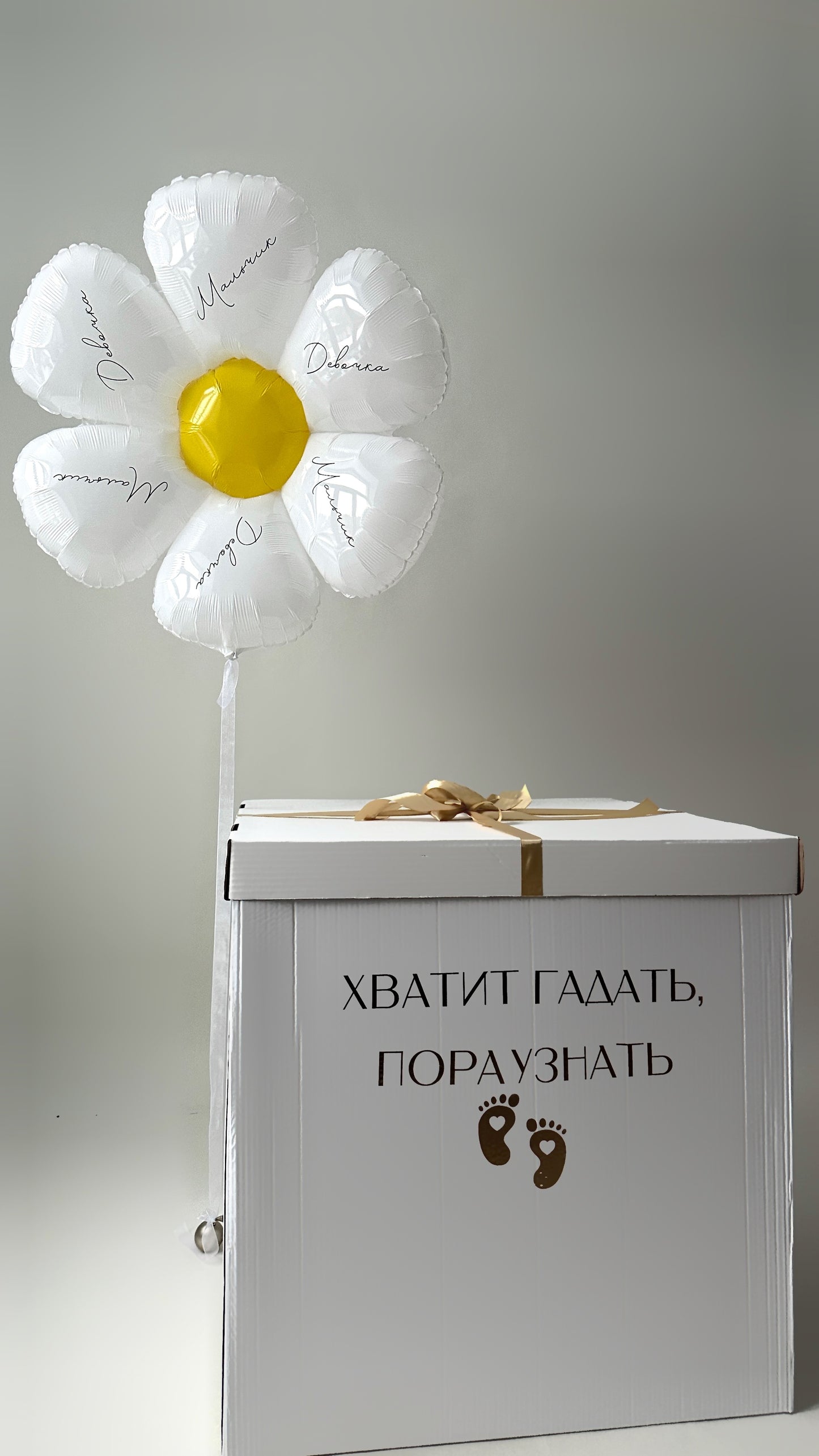 Gender Reveal Box