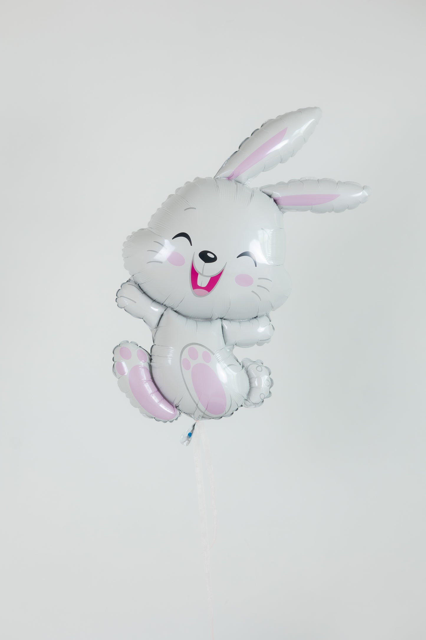 Animal - Shaped Balloon (Variants Available)