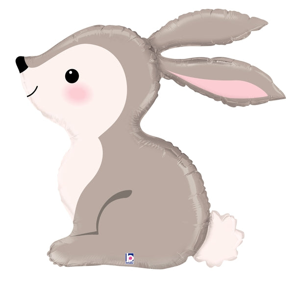 Animal - Shaped Balloon (Variants Available)