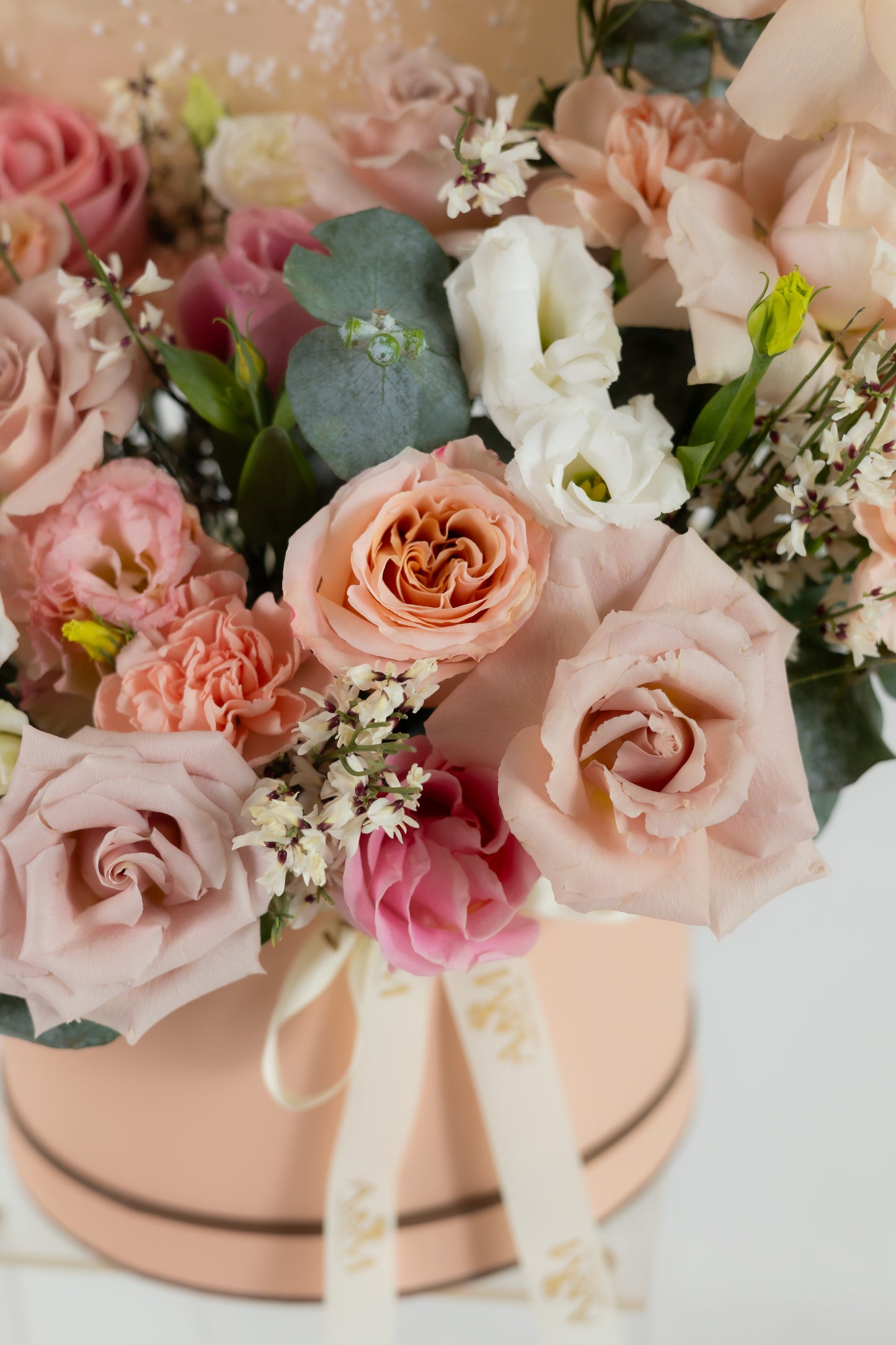 Peach Melody