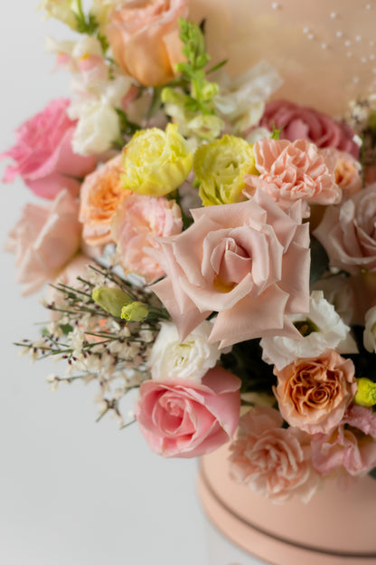 Peach Melody
