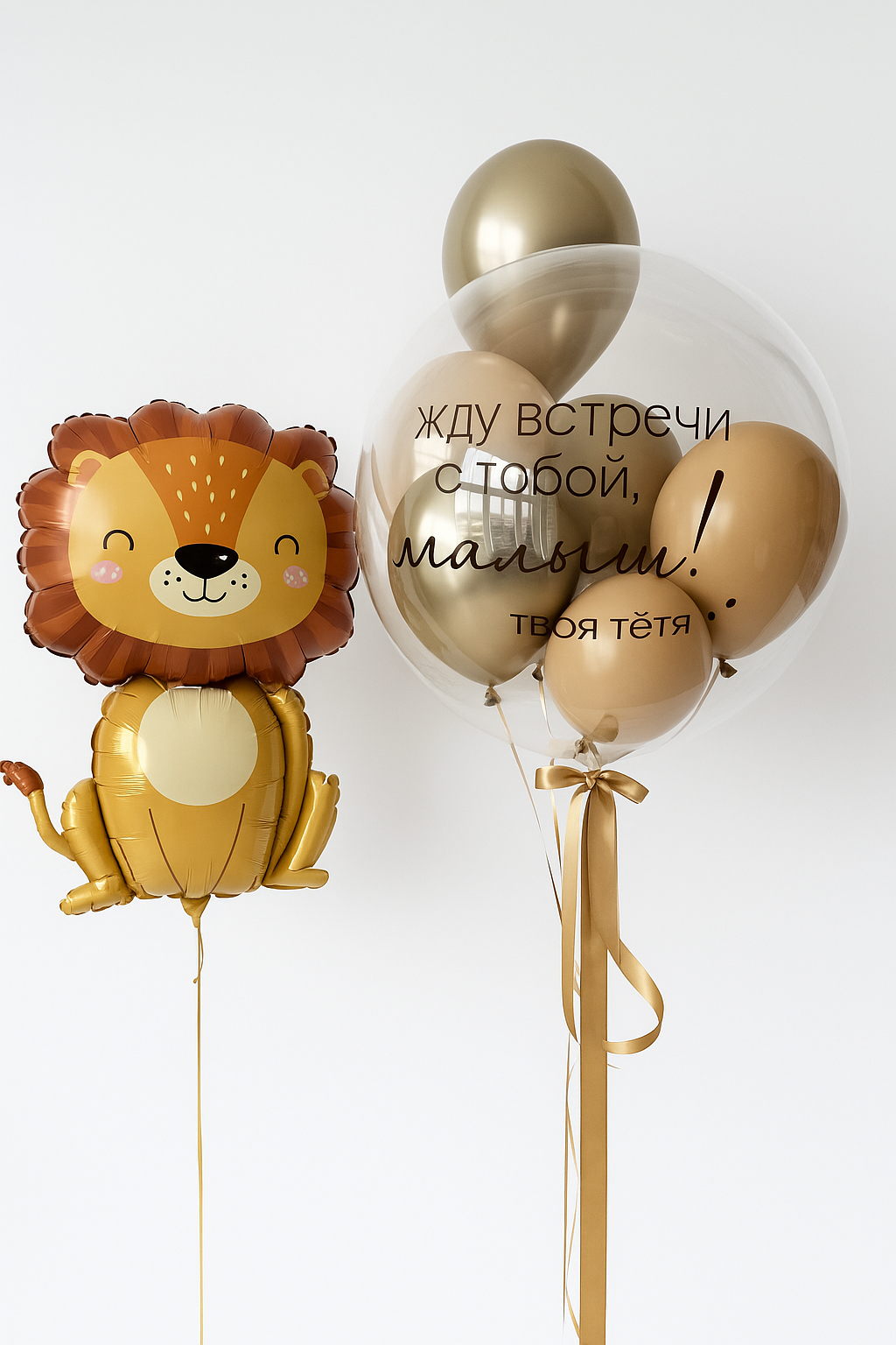 Lion Hug Greeting Set