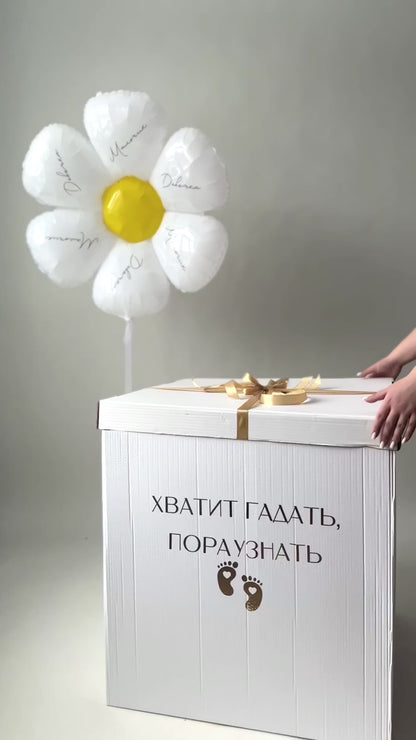 Gender Reveal Box